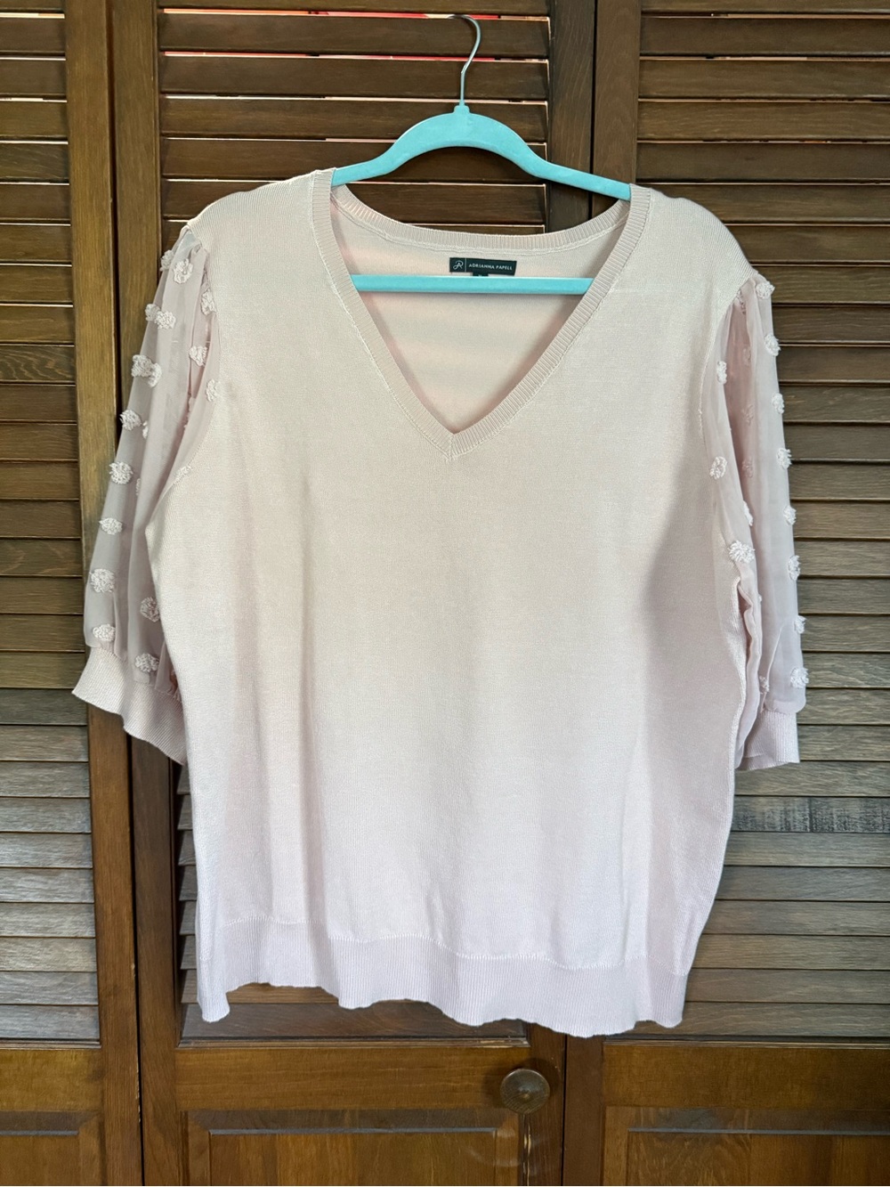 Adrianna Papell Light Pink V-Neck Sweater with Sheer Embellished Sleeves